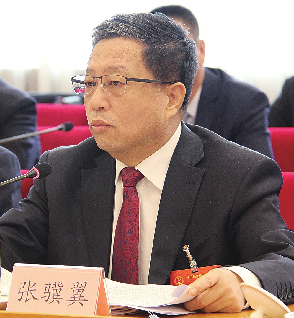 张骥翼代表:建议加大中央财政对中西部铁路建设投入力度