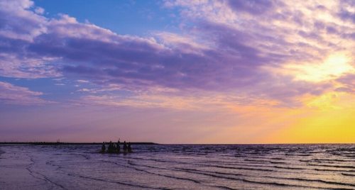风光无限的上海奉贤海湾早晨。张朝登/摄