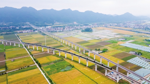 浙江省永康市石柱镇的农田,田园色彩丰富,景色如画。新华社