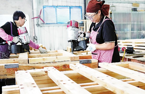 近年来,河北省唐山市丰南区积极引导劳动密集型企业进农村,建设乡村就业工厂或车间,带动当地群众在家门口就业,实现“顾家、增收”两不误。图为工人在一家木质包装产品企业的生产车间工作。新华社