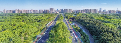 奉贤城市风貌。上海奉贤融媒体中心/供图