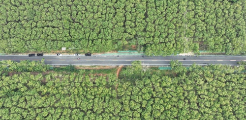 近日,海南环热带雨林国家公园旅游公路建成通车。该项目建成后不仅能促进海南热带雨林国家公园生态旅游的发展,还将促进沿线村庄的乡村振兴,助推国家生态文明试验区和国际旅游消费中心建设。图为环热带雨林国家公园旅游公路琼中段。新华社